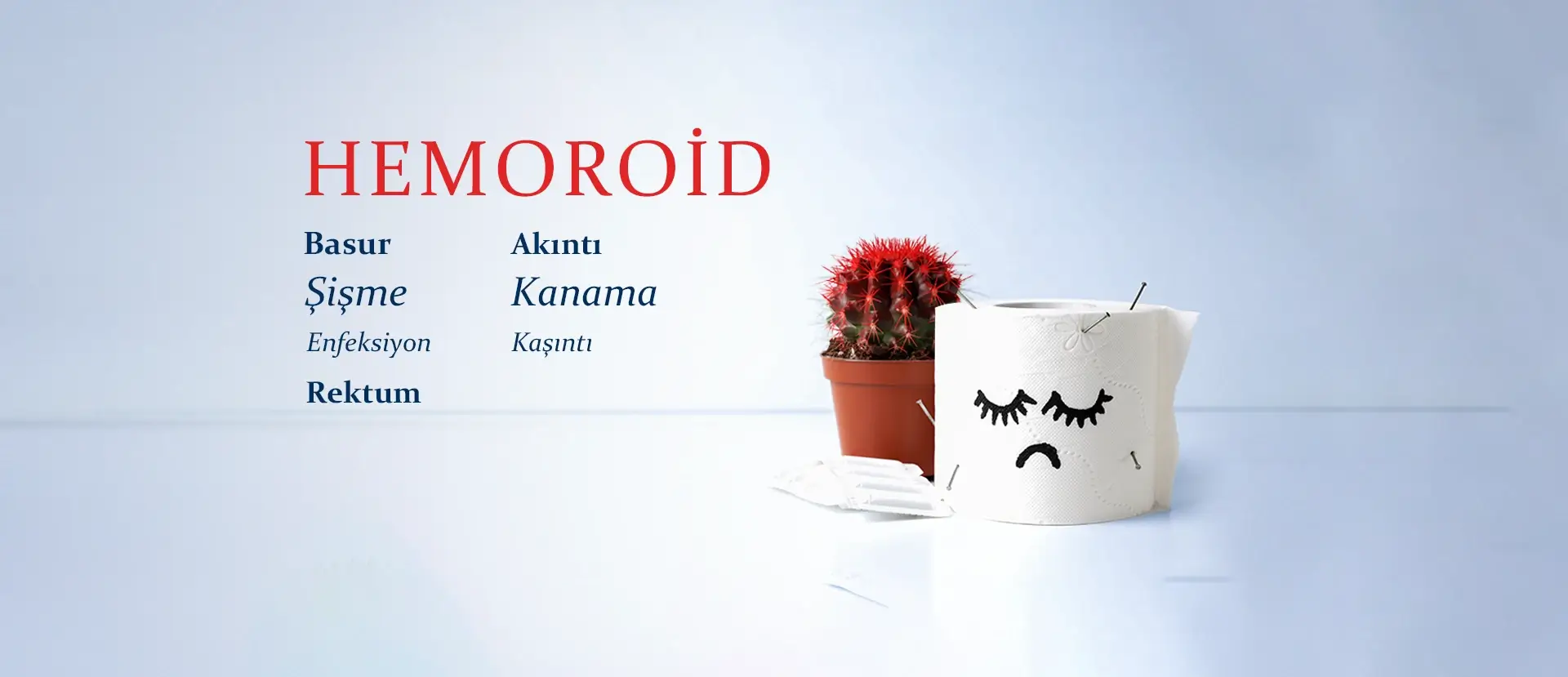 Hemoroid (Basur)